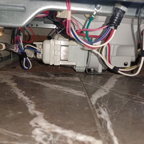 WhatsApp Image 2026-02-23 at 7.06.42 PM (4)